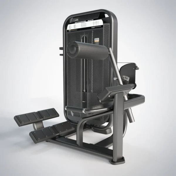 Back Extension E7031 - Image 3