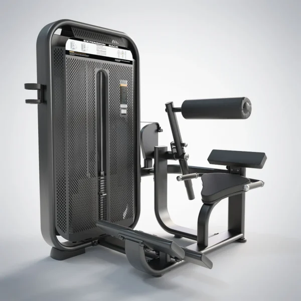 Back Extension E7031