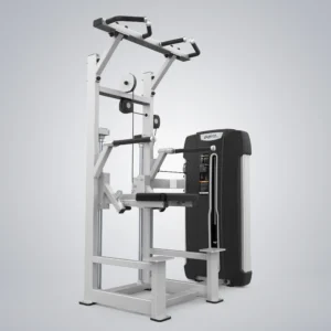 Dip Chin Assist E4009A