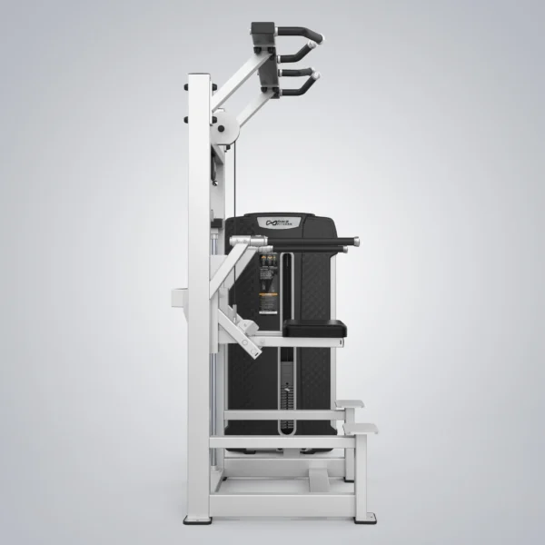 Dip Chin Assist E4009A - Image 2