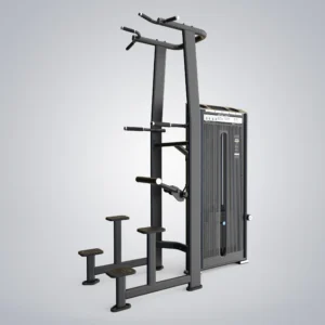 Dip Chin Assist E7009A
