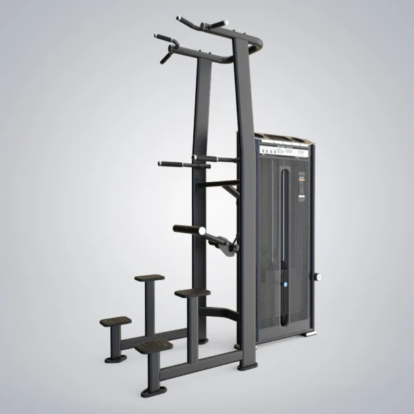 Dip Chin Assist E7009A