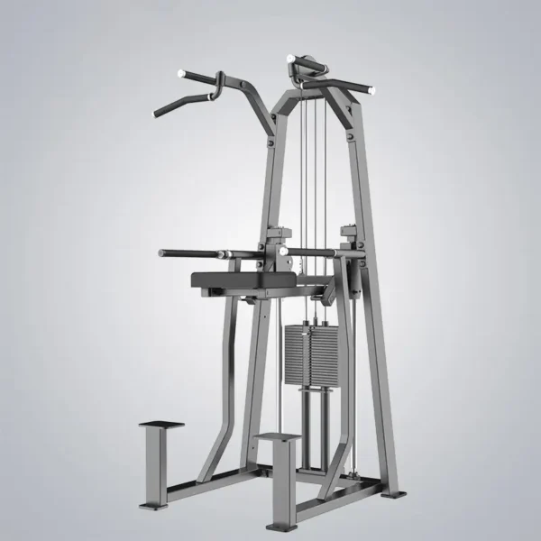 Dip Chin Assist J3009