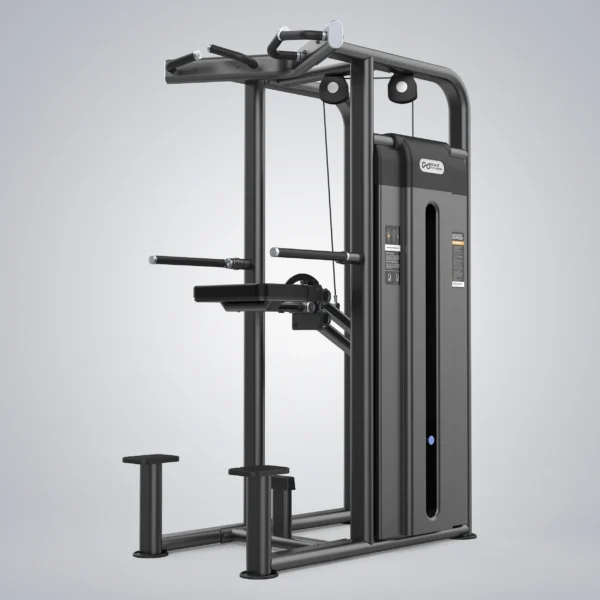 Dip Chin Assist U2009C