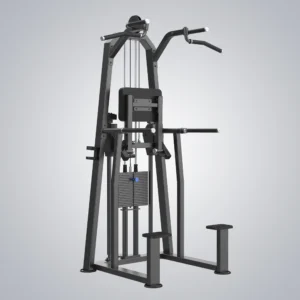 Dip Chin Assist U3009