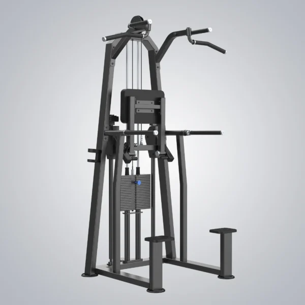 Dip Chin Assist U3009