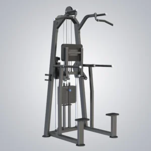Dip Chin Assist U3009