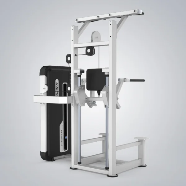Dip Chin Assist U3009A