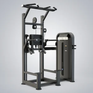 Dip Chin Assist U3009D