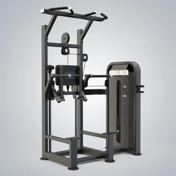 Dip Chin Assist U3009D