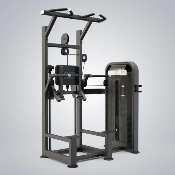 Dip Chin Assist U3009D-K - Image 3