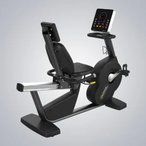 Recumbent Bike X9109